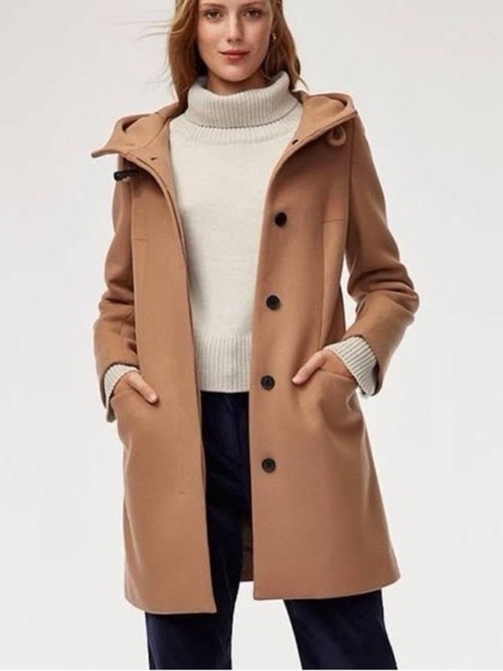 Aritzia Babaton Pearce coat